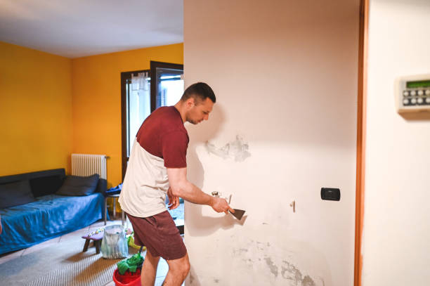 Best White Mold Remediation in Avodo Heights, CA